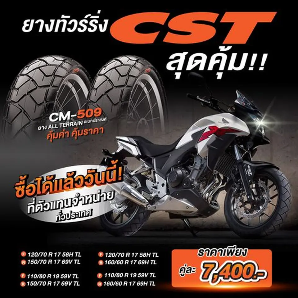 CM-509 ยางตัวตึง ราคาสุดคุ้ม